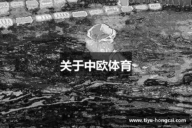 关于中欧体育